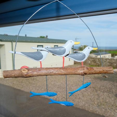 Apartament Kittiwake Saint Cyrus Zewnętrze zdjęcie